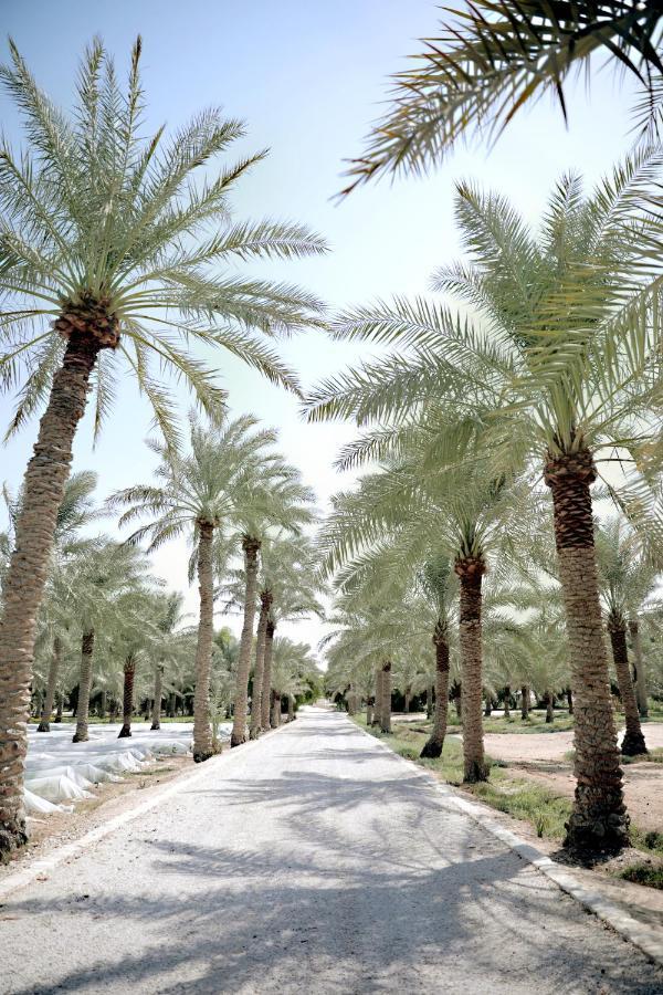 Heenat Salma Farm Villa Ash-Shahaniyah Exterior photo