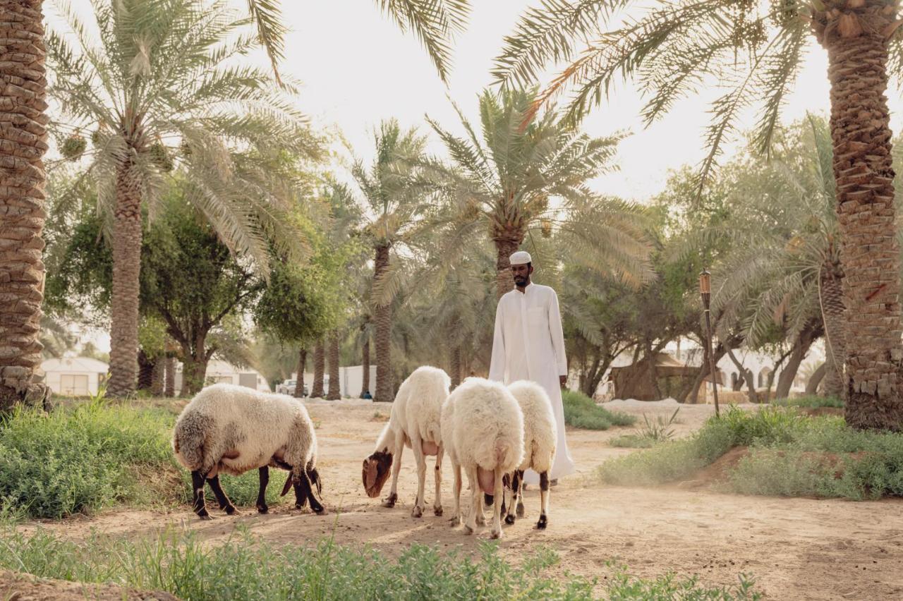 Heenat Salma Farm Villa Ash-Shahaniyah Exterior photo